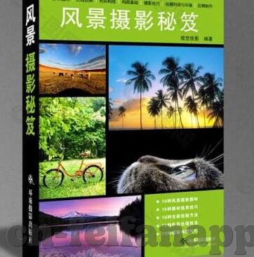 足球006比分直播-足球006比分直播，一场跨越时空的激情盛宴，球迷的狂欢时刻